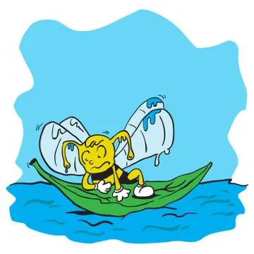 Drowning bee Stock Illustration