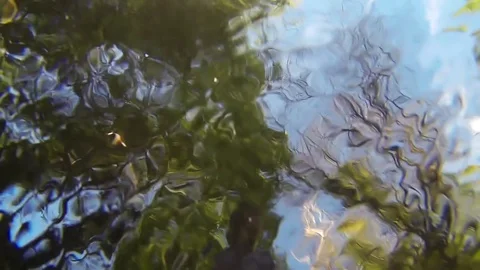 Drowning Stock Footage 98679918