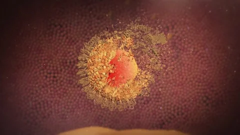 Drug acts inside cells to enhance lipid metabolism Stockbeeldmateriaal 345012045