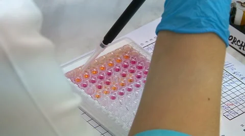 Drug manufacturing. Video stock 68143379