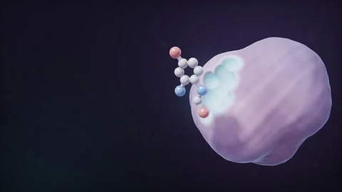 Drug Molecule Docking into Protein Binding Pocket 3D Animation Stockbeeldmateriaal 347525701