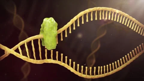 Drug molecules attach to DNA chains, interfering with mismatch repair Stock Footage 345199723