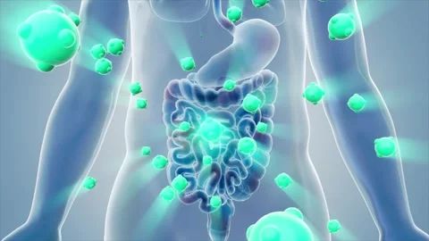 Drug molecules or probiotics act on the gastrointestinal tract Stockbeeldmateriaal 344950795