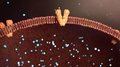 Drug molecules pass smoothly through cell membrane calcium ion channels Stock Footage 345199742