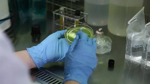 Drug test 02 Stock Footage 144839615