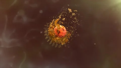 Drug works inside cells to boost lipid metabolism Stockbeeldmateriaal 345012041