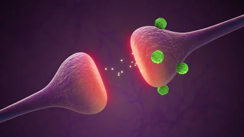 Drugs Triggering Synaptic Brain Receptor Activity Vídeos de archivo 297748456