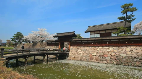 The Drum Gate Bridge and Drum Gate with Cherry Blossoms and Moat at Matsushiro 動画素材 330649942