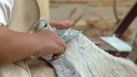 Drum Maker Cutting Goatskin Membrane of a Typical "Bombo Leguero" Drum. Stock Footage 219270564