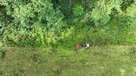 Drum mowers worker cut man drone clean up growing wetland grass Europe Stock Footage 296109846