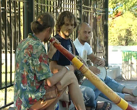 Drummer Stock Footage 22480875