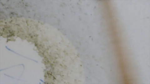 Drumstick striking snare head on drumset closeup Stock Footage 120560476