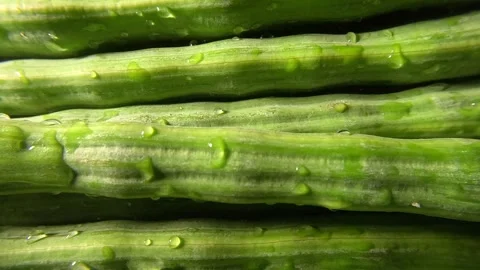 Drumsticks Close up Shot - Leftwards Stock Footage 281966898
