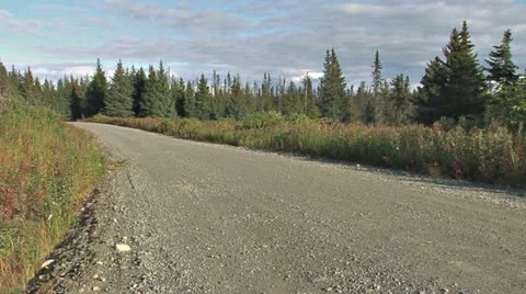 Drunk Driver Tosses Beer Can Out Window Drive By Stock Footage 11628521