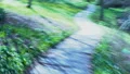 Drunk person walking along park path, intoxicated man going home, point of view HD Footage