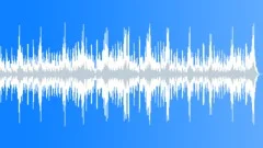Drunken Sailors Tavern (60 sec)Stock Music