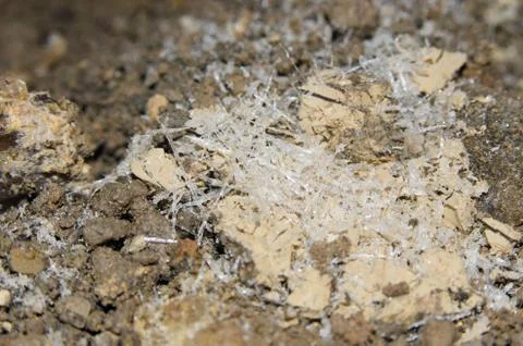 Druze of crystals in the cave Stock Photos
