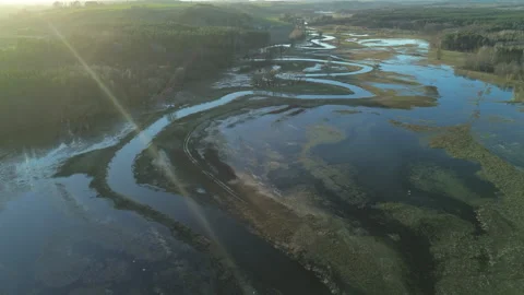 Drweca River - Aerial Forward Flight - 4K ProRes Stock Footage 332486518