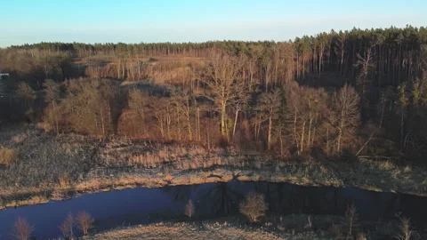 Drweca River - Lateral Flight - 4K ProRes Stock Footage 332501062