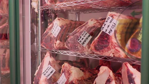 Dry aging cabinet with beef meat in cold storage. Vídeos de archivo 295271138