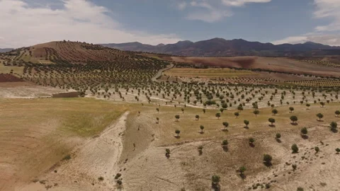 Dry agricultural fields stretching toward distant mountains Stock Footage 292829357