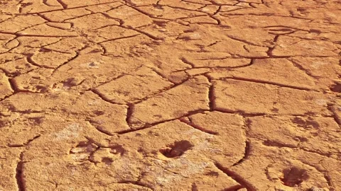 Dry Agriculture Field, Loop 4K footage | Stock Video | Pond5