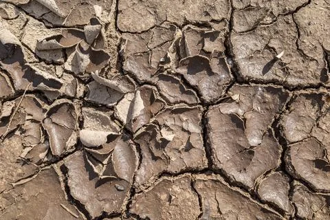 Dry and cracked soil due to warming and drought Stock Photos