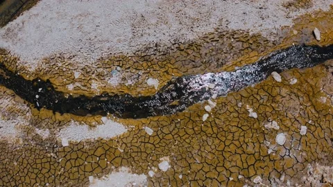 Dry and pollutied river Stock Footage 166789163