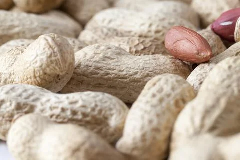 Dry and roasted peanuts do not require further processing Stock Photos