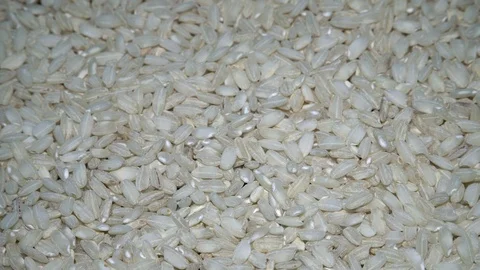 Dry Arborio Rice Rotating Stock Footage 95323502