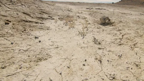 Dry, arid land in an empty desert Salt Lake City, US Stock Footage 288330098