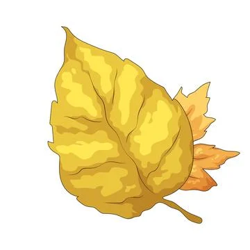 Dry autumn leaf illustration Stock Illustration