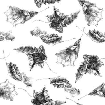 Dry Autumn Leaves Pattern Stock Illustration
