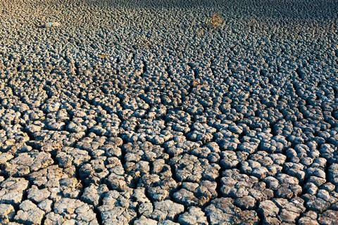 Dry background with cracked soil Stock Photos