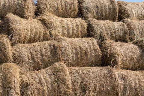 Dry baled hay bales stack, rural countryside straw background. Hay bales straw Stock Photos