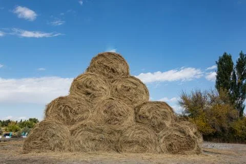 Dry baled hay bales stack, rural countryside straw background. Hay bales straw Stock Photos