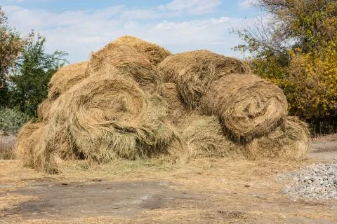 Dry baled hay bales stack, rural countryside straw background. Hay bales straw Stock Photos