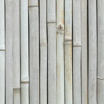 Dry bamboo background Stock Photos