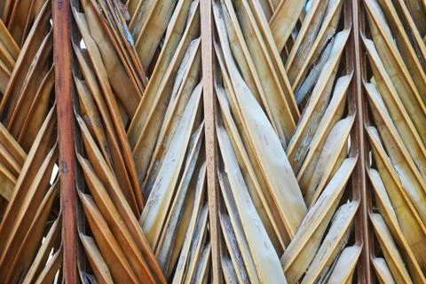 Dry bamboo leaf yellow background Stock Photos