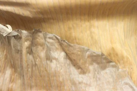 Dry banana leaf structure closeup Stock Photos