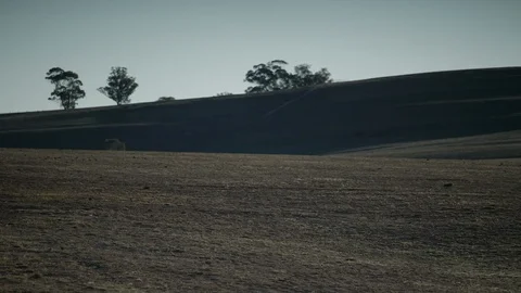 Dry barren paddock on a drought ravaged farm. 動画素材 127211478
