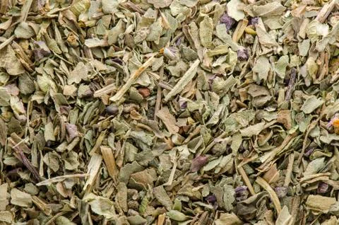 Dry basil Stock Photos