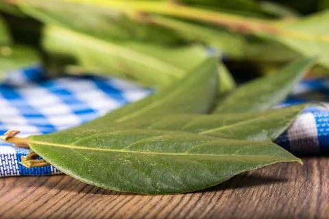 Dry bay leaf Foto stock