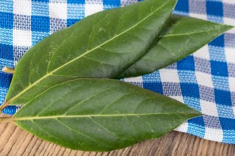 Dry bay leaf Stock Photos