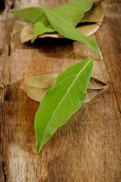 Dry bay leaf Stock Photos