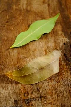 Dry bay leaf Stock Photos