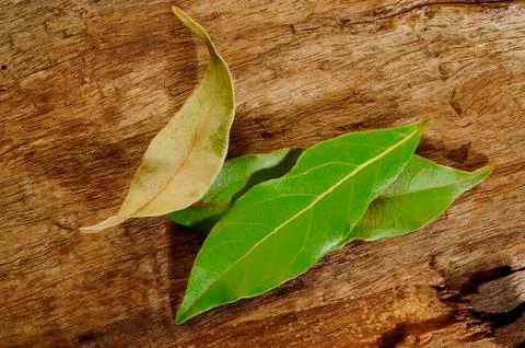 Dry bay leaf Stock Photos