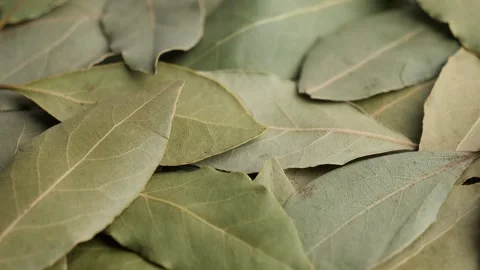 Dry bay leaves Stock Footage 252986102