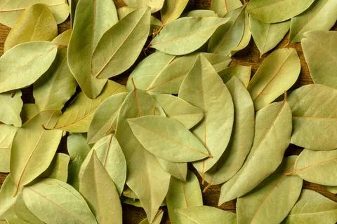 Dry bay leaves texture. Laurel leaf background Foto stock