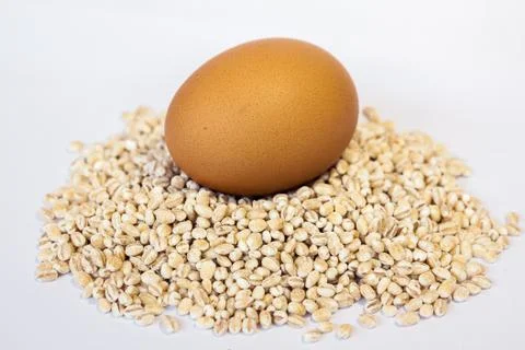 Dry bean and nut with egg Stock Photos